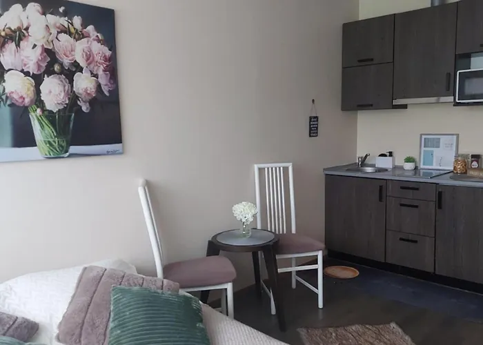 Laine Apartment Parnu